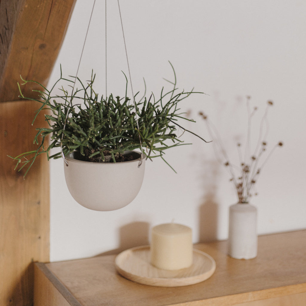 kinto hanging planter Hanging Plant Pot – BerkshireDryGoods